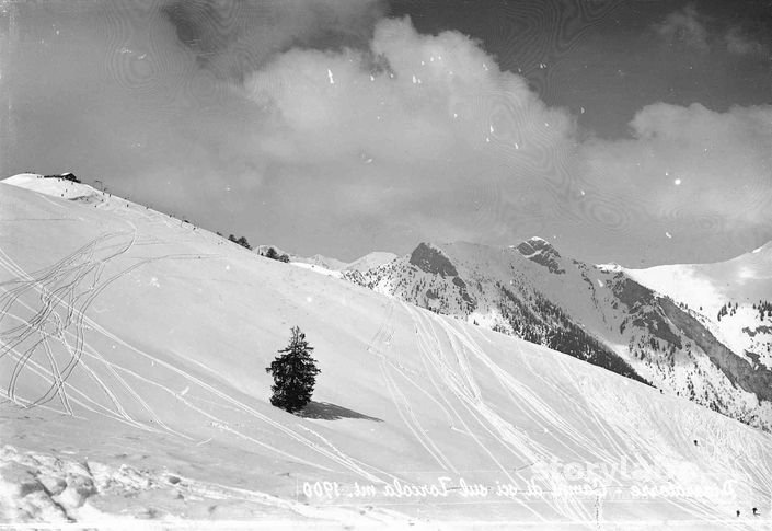 Neve In Montagna