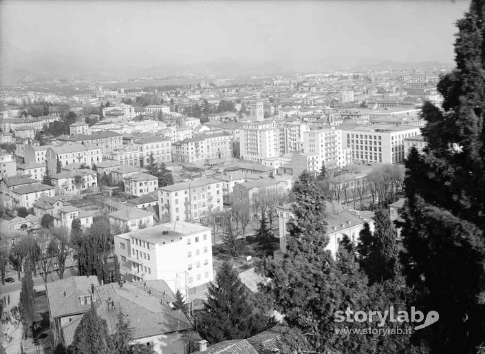 Vista Dall'Alto