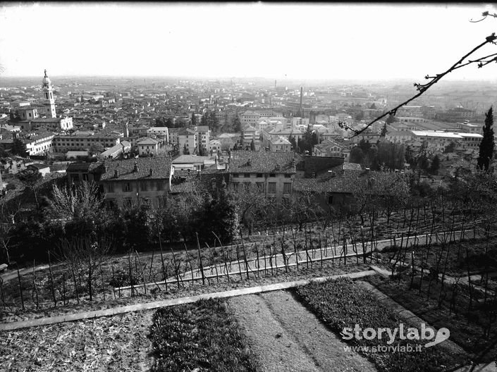 Vista Sulla Città