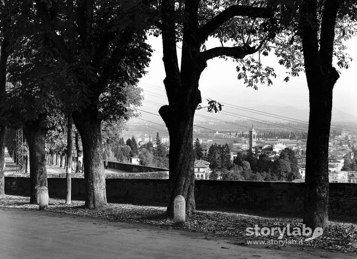 Viale Delle Mura