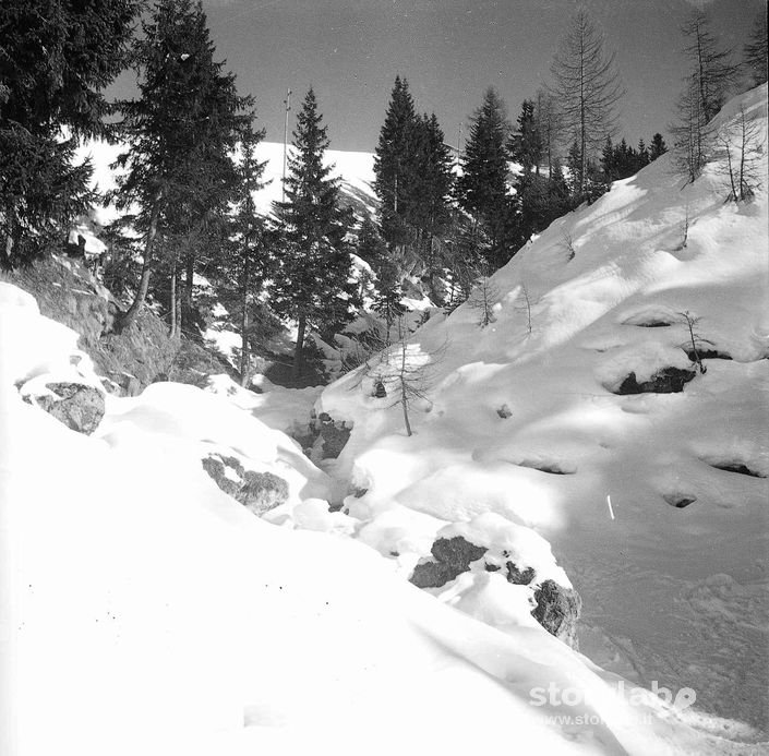 Paesaggio  Innevato