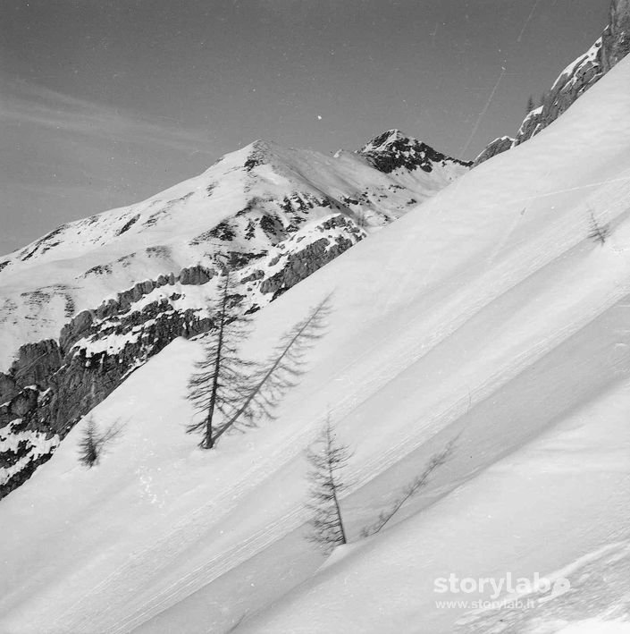 Paesaggio  Innevato