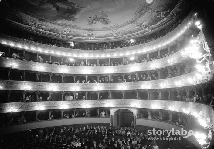 Interno Teatro Donizzetti