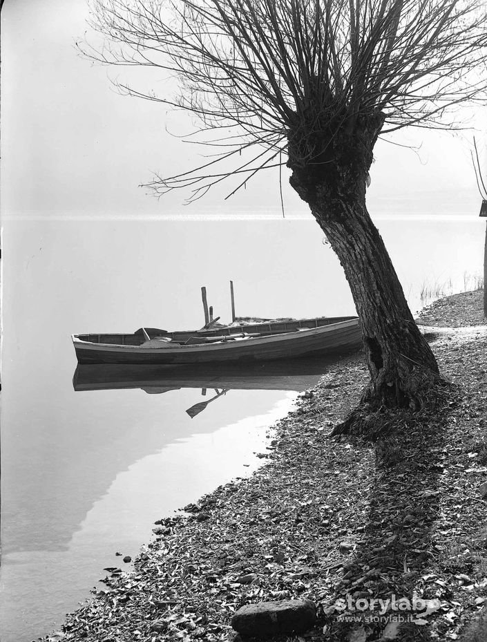 Barca In Riva Al Lago