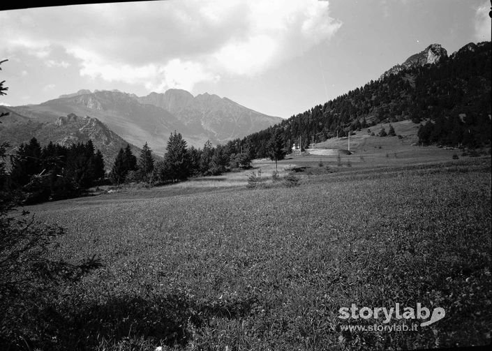 Panorama E Dintorni