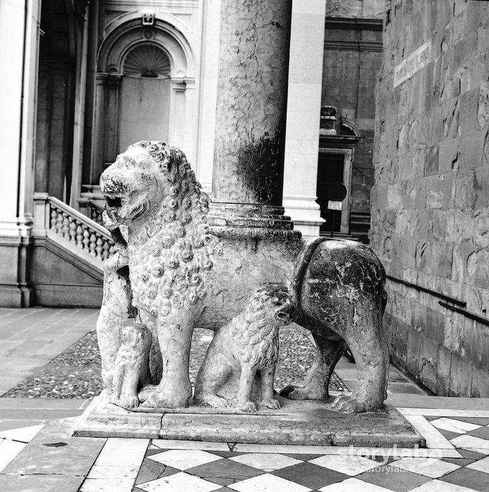 Leone Stilobate Fuori S. Maria Maggiore