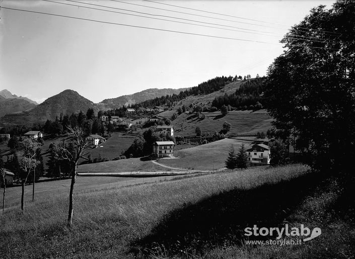 Paesaggio Alpino