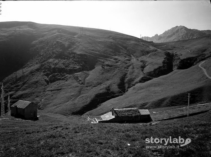 Paesaggio Montano