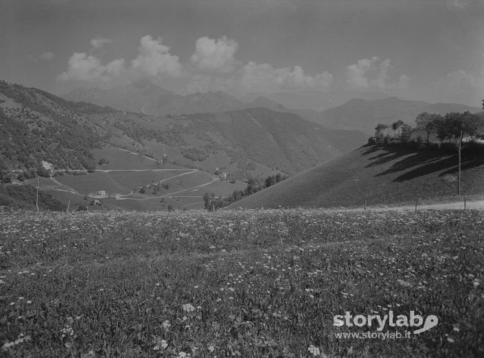 Paesaggio  Montano