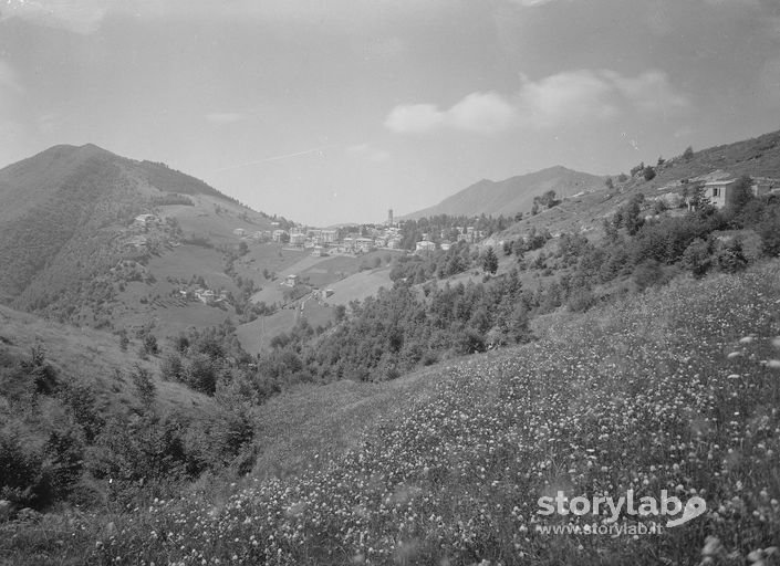 Paesaggio  Montano