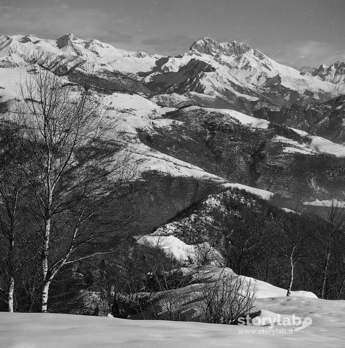 Albero, Montagne