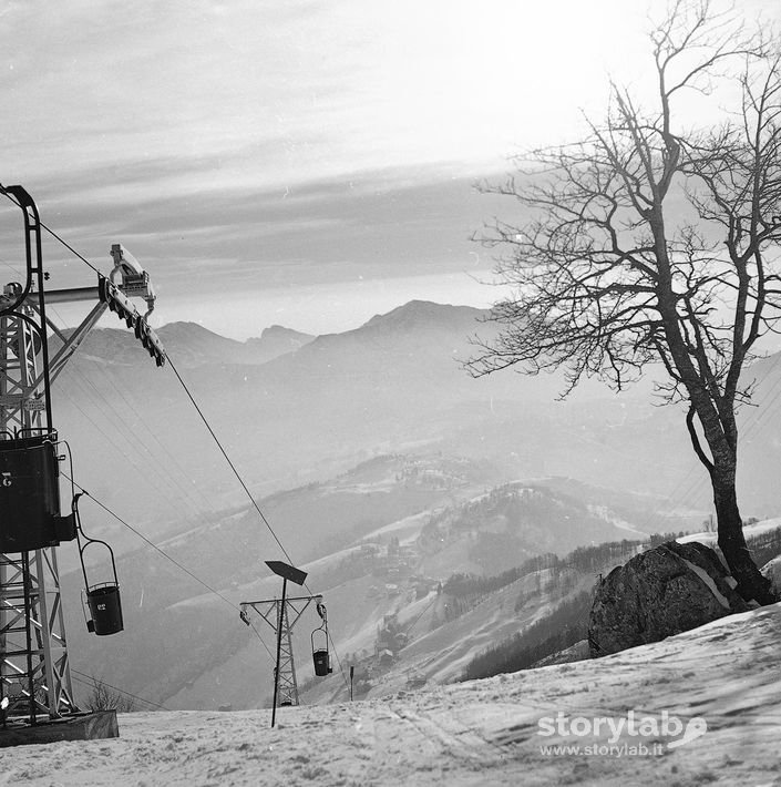 Impianto Di Risalita, Albero, Montagne Sullo Sfondo