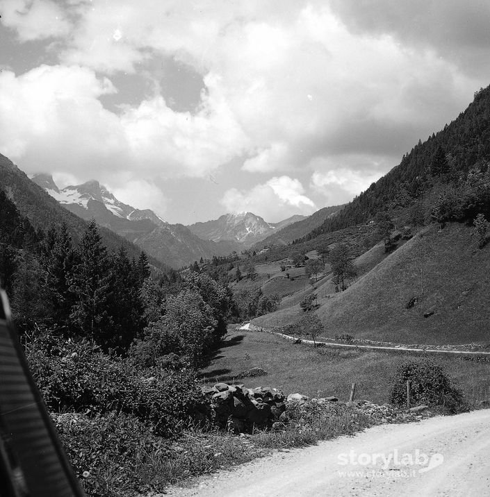 Paesaggio Montano