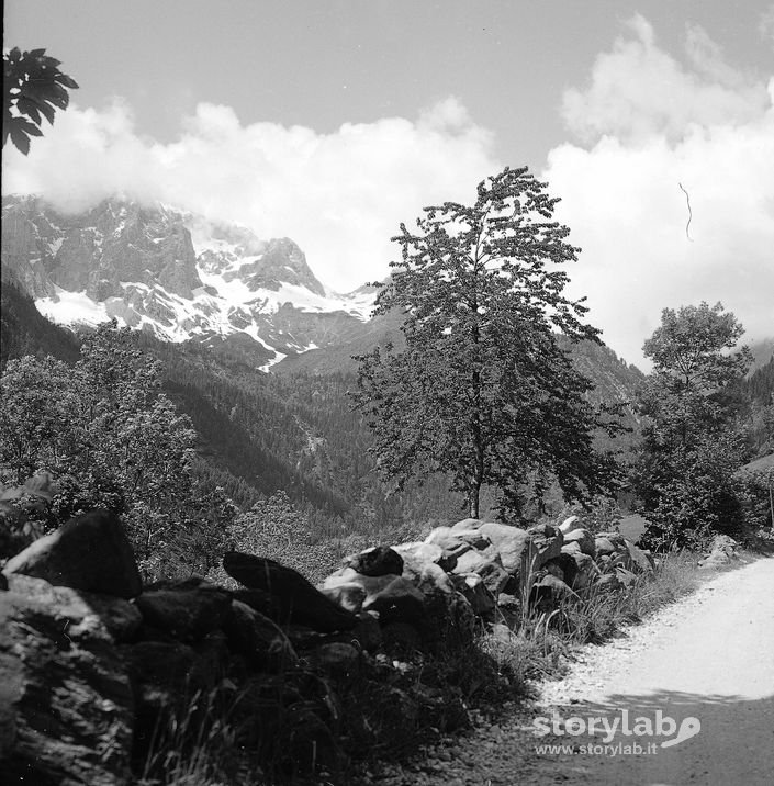 Sentiero, Alberi, Rocce