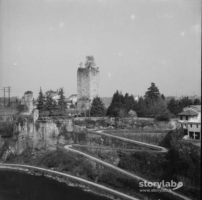 Strada A Tornanti, Pineta, Torre Sullo Sfondo