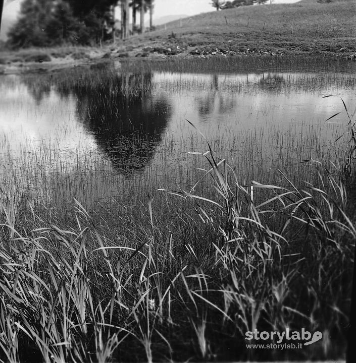 Lago, Canneto