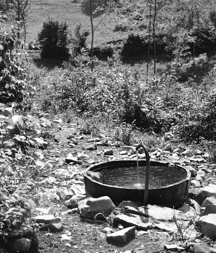 Fontana Di Montagna