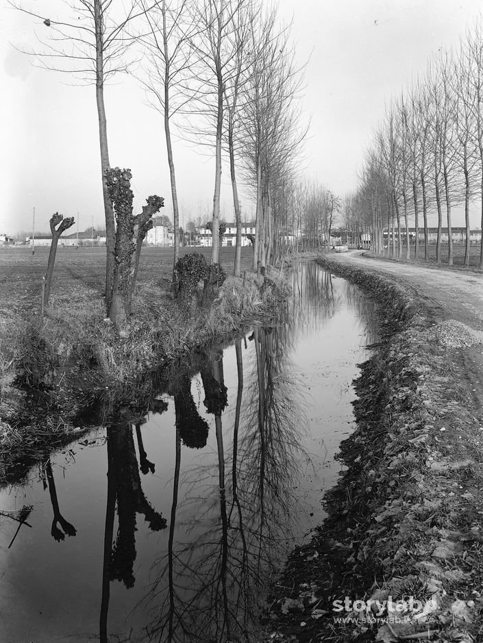 Fiume Con Alberi Riflessi