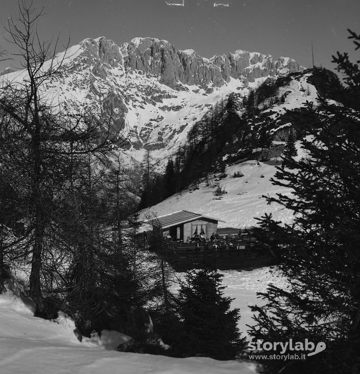 Paesaggio Montagna