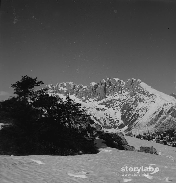 Paesaggio Montagna