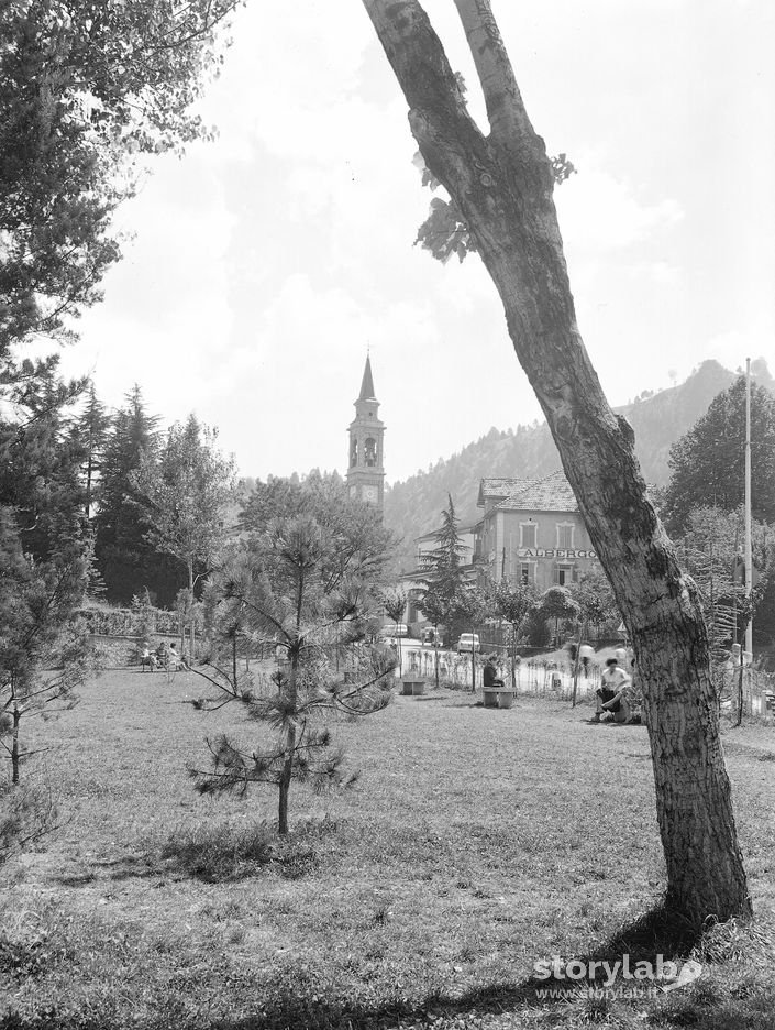 Alberi, Paese Sullo Sfondo