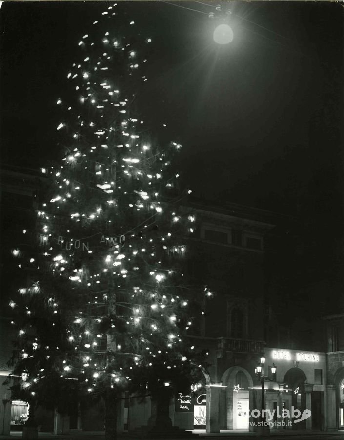 Albero Di Natale In Piazza Vittorio Veneto