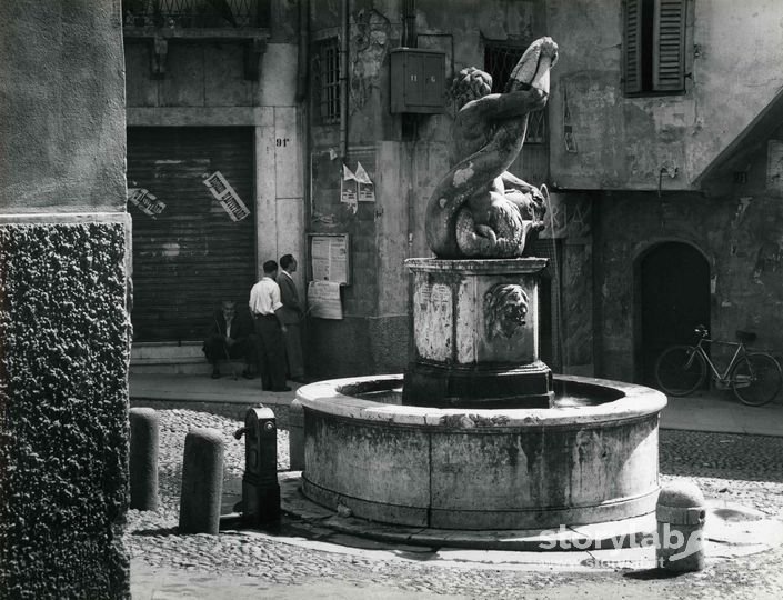 Fontana Del Delfino