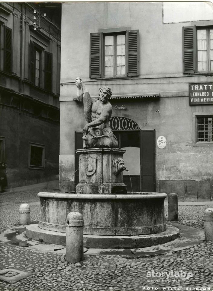 Fontana Del Delfino