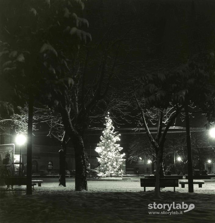 Albero Natalizio, Piazzale Stazione Ferroviaria