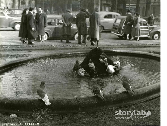 Fontana In Città