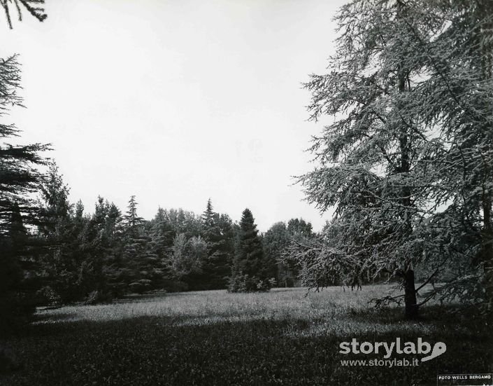 Parco A Villa Grismondi Finardi