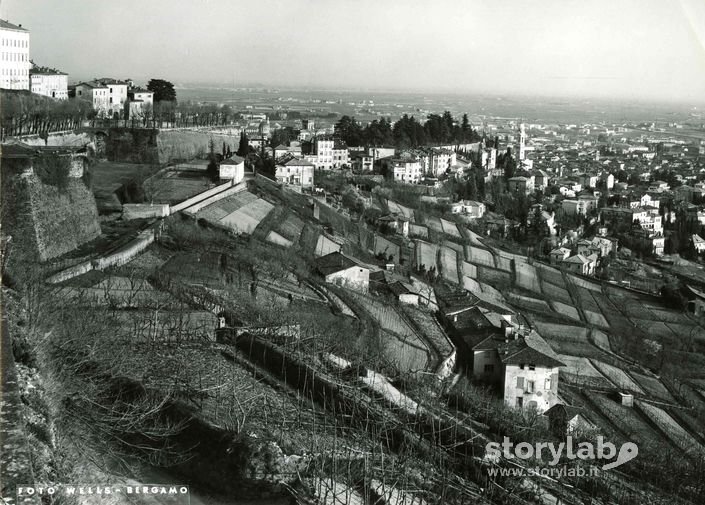 Campi Coltivati Sotto Le Mura, Bergamo Alta