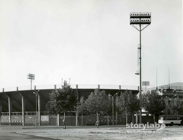 Curva Stadio