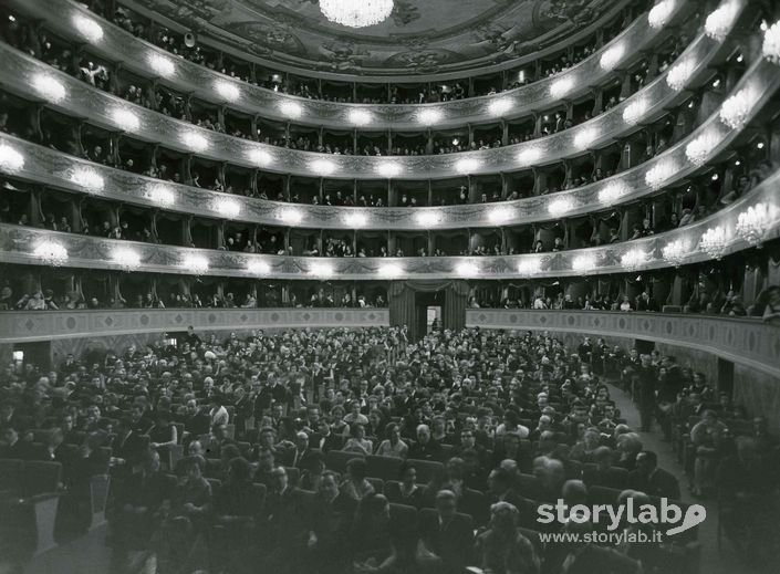 Platea, Teatro Donizetti