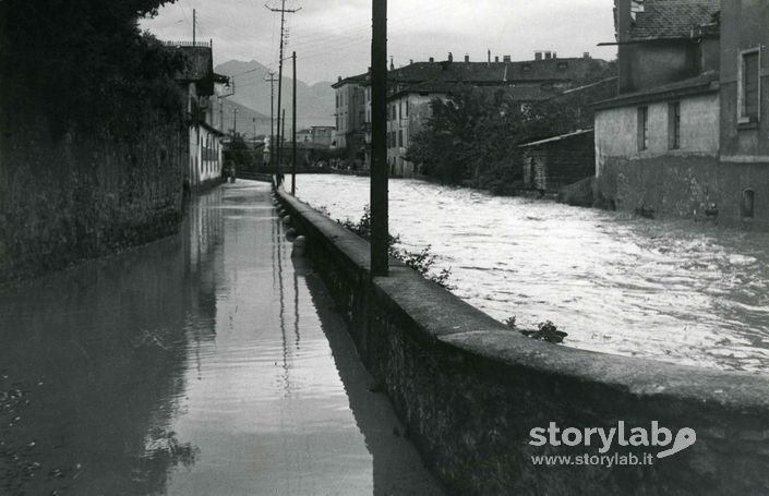 Torrente Morla