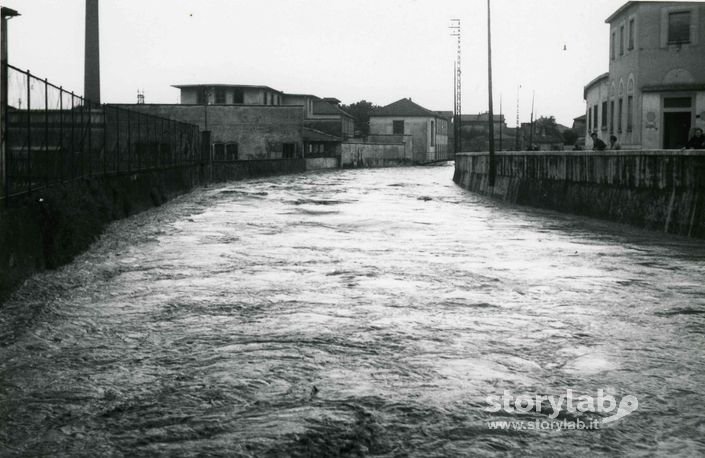 Torrente Morla