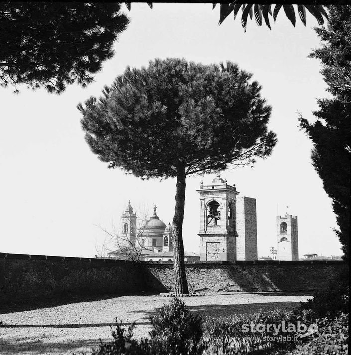 Torri E Campanili Visti Dalla Rocca