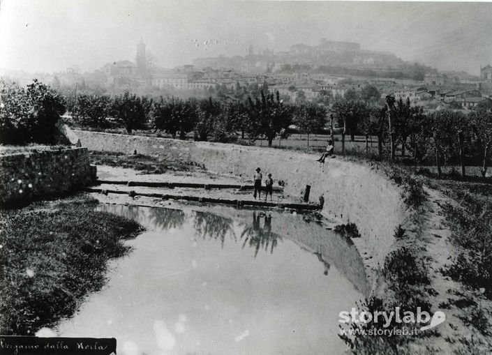 Bergamo Dalla Morla