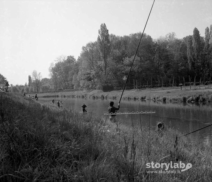 Pescatori In Azione